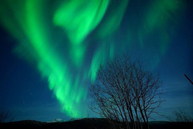 Small Group Northern Lights Chase From Tromso - Reviews and Recommendations