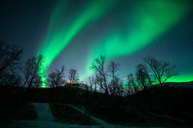 Small Group Northern Lights Chase From Tromso - The Sum Up