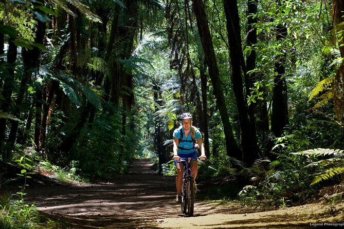 Small Group Northern Voyager 7 Days Tour - An In-Depth Look at the Itinerary