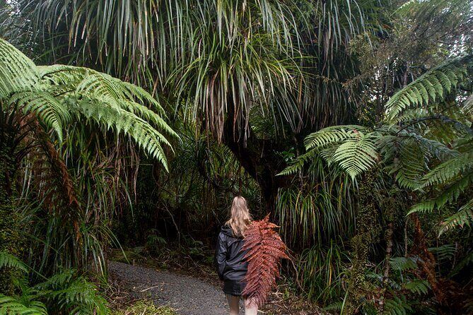 Small Group Northern Voyager 7 Days Tour - The Sum Up