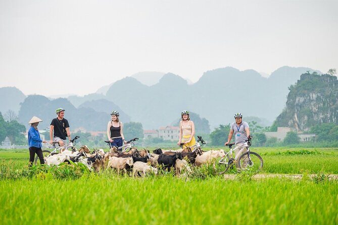 Small Group of 11 Discover Ninh Binh: Hoa Lu, Tam Coc, Mua Caves - Good To Know  