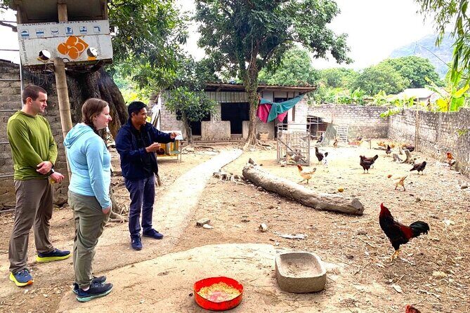 Small Group of 11 Discover Ninh Binh: Hoa Lu, Tam Coc, Mua Caves - Overall Value and Experience  