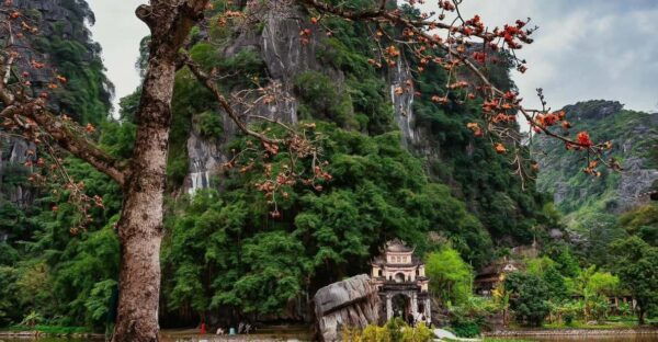 Small Group of 9 Guided Tour: Trang An, Mua Cave, Bich Dong - Important Information