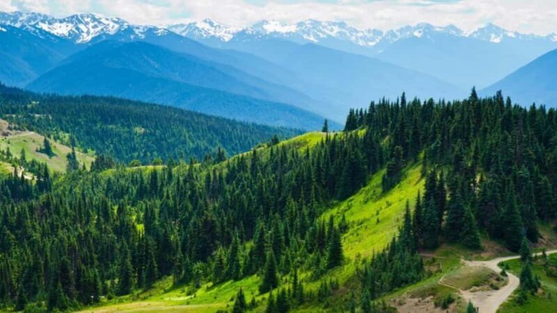 Small Group: Olympic National Park Day Tour From Seattle - Good To Know