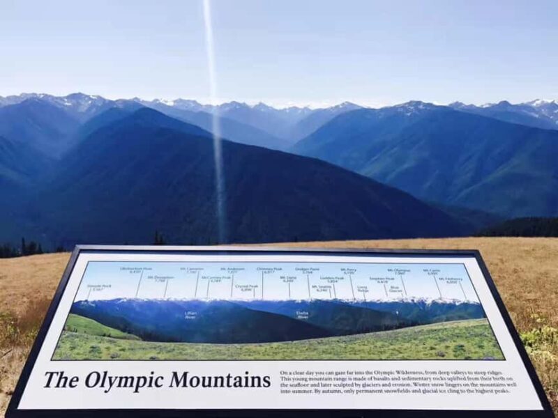 Small Group: Olympic National Park Day Tour From Seattle - An Overview of the Experience