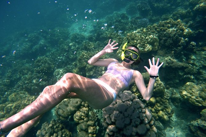 Small Group Only 20 People - Phi Phi & Bamboo Islands and Maya Bay With Lunch - Tour Details and Highlights