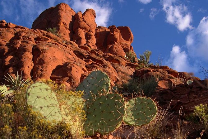 Small Group or Private Sedona and Native American Ruins Day Tour - Cancellation Policy
