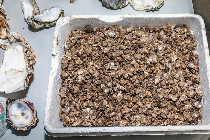 Small Group Oyster Tour and Tasting at Ballinakill Bay With David - Tour Details