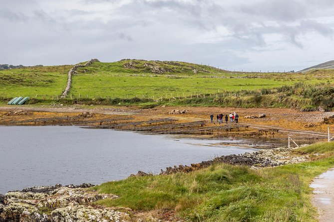 Small Group Oyster Tour and Tasting at Ballinakill Bay With David - Logistics and Operator