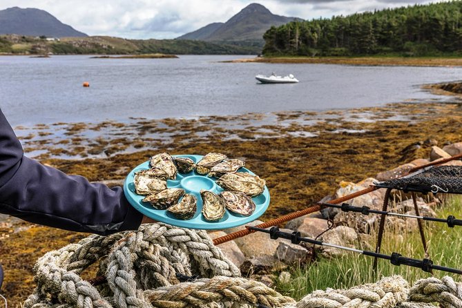 Small Group Oyster Tour and Tasting at Ballinakill Bay With David - Common Questions