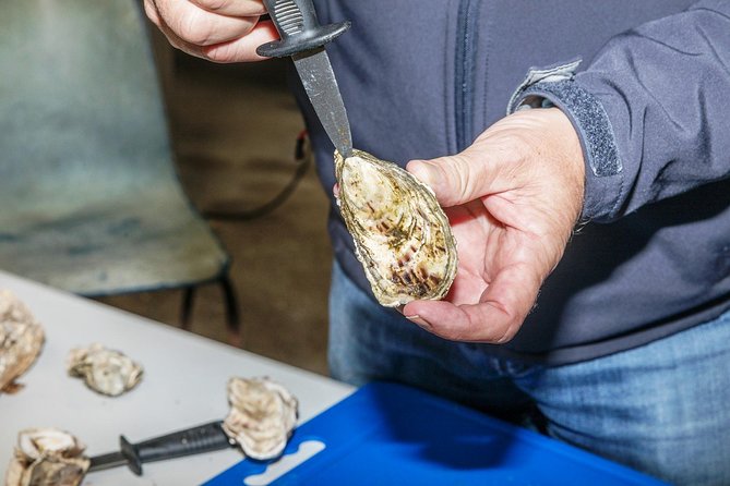 Small Group Oyster Tour and Tasting at Ballinakill Bay With David - The Sum Up