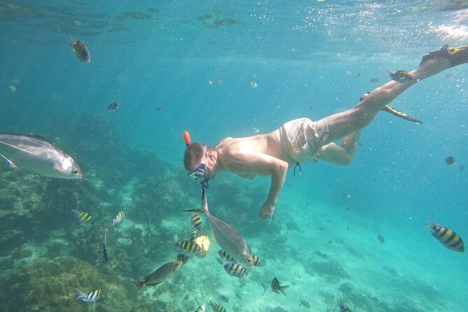 Small Group Phi Phi Islands Sunrise Tour With Seaview Lunch - Inclusions and Amenities