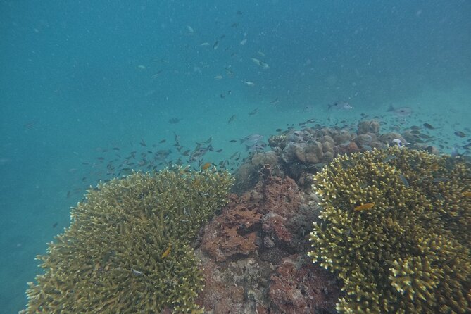 Small Group Phi Phi Islands Sunrise Tour With Seaview Lunch - The Sum Up