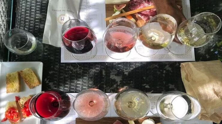 Small Group Pompeii Wine Tasting: Lunch & Transfer Included - Experience Highlights