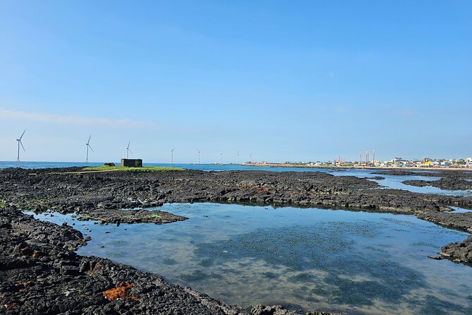 Small Group Private Jumbo Taxi/ Van Tour - West of Jeju Island - Tour Highlights