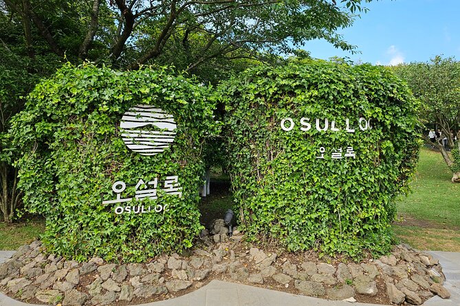 Small Group Private Jumbo Taxi/ Van Tour - West of Jeju Island - Transportation and Comfort