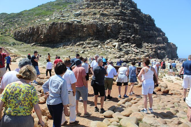 Small Group Private Tour To Cape Point Penguins From Cape Town Excl Entry Fees - Tour Duration and Meeting Point