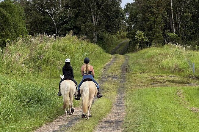 Small Group Rainforest Trail Ride - Small Group Rainforest Trail Ride: An In-Depth Review