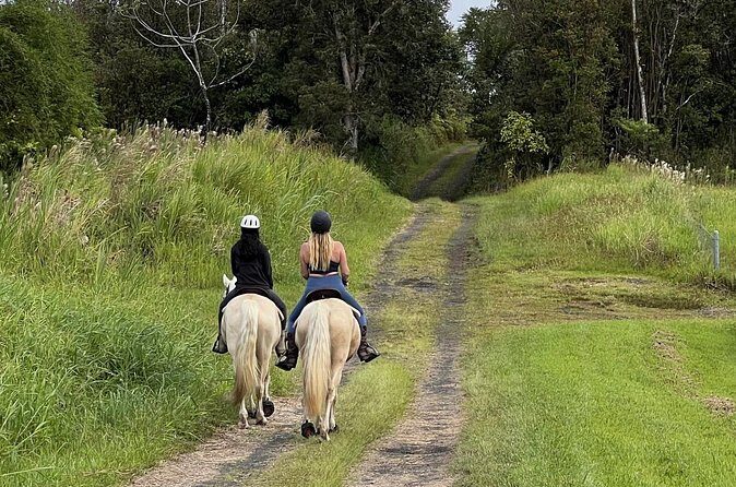 Small Group Rainforest Trail Ride - Practical Details and Tips
