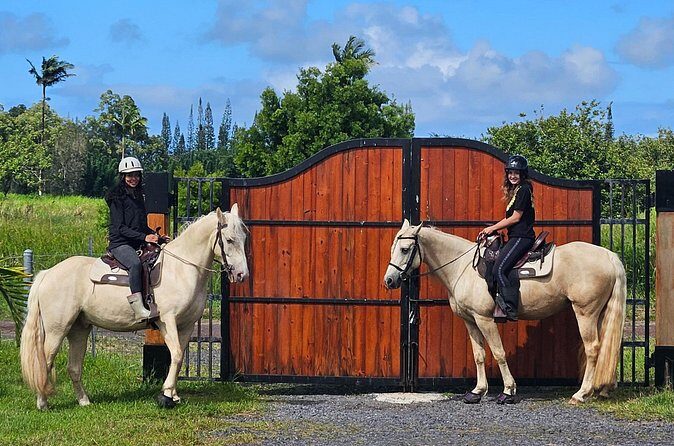 Small Group Rainforest Trail Ride - The Sum Up