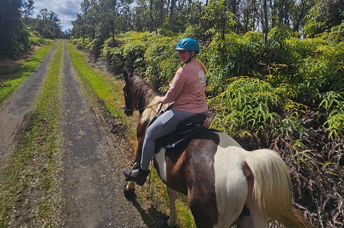 Small Group Rainforest Trail Ride - FAQ
