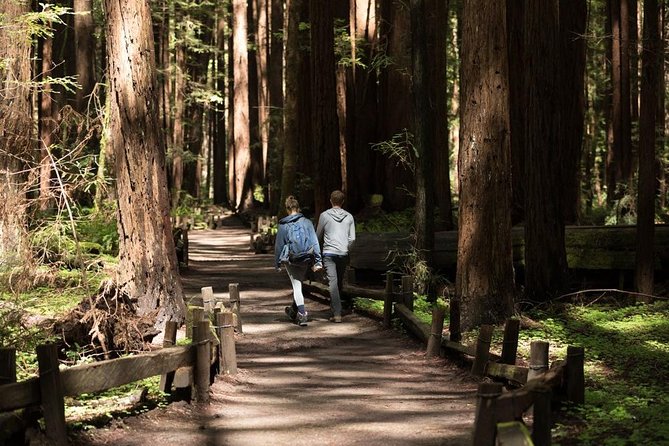 Small Group Redwoods, California Coast & Sausalito Day Trip From San Francisco - Tour Inclusions and Itinerary