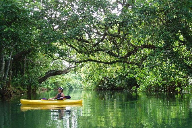 Small Group River Kayaking Tour from Port Vila - Who is this tour best suited for?