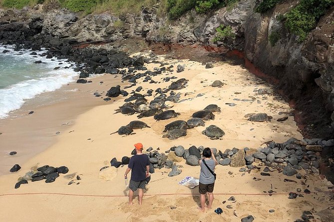 Small Group Road to Hana Adventure Tour With Pickup - Tour Guides