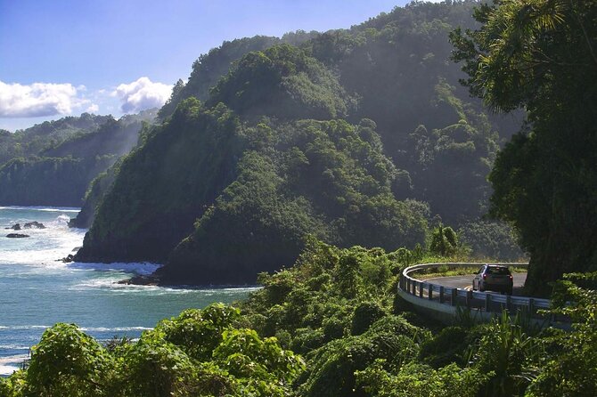 Small Group Road to Hana Adventure Tour With Pickup - Customer Satisfaction and Logistics