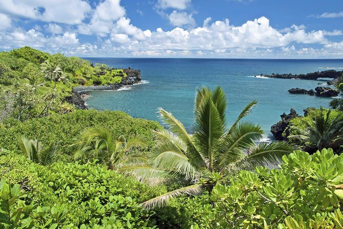 Small-Group Road to Hana Adventure Tour with Pickup & Lunch - The Full Breakdown of the Itinerary