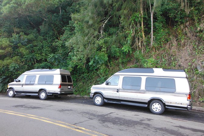 Small-Group Road to Hana Luxury Limo-Van Tour With Helicopter Flight Reverse - Customer Reviews and Overall Experience