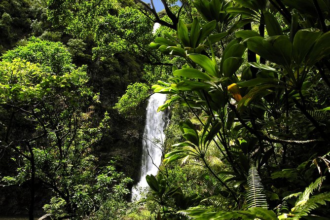 Small-Group Road to Hana Luxury Limo-Van Tour With Helicopter Flight Reverse - Common Questions
