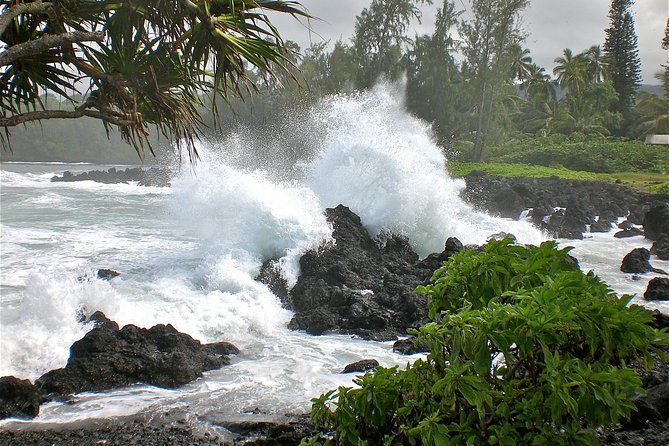 Small-Group Road to Hana Luxury Tour - Tour Guides