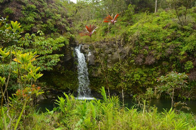 Small-Group Road to Hana Luxury Tour - Road to Hana Highlights