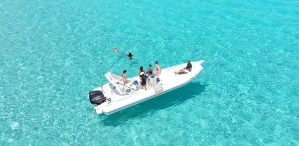 Small Group Rubber Dinghy Tour Favignana and Levanzo - Customer Reviews and Ratings