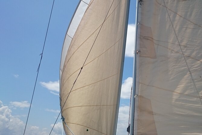 Small Group - Sailing Trip - Costa Del Sol - Max. 5 People - The Sum Up