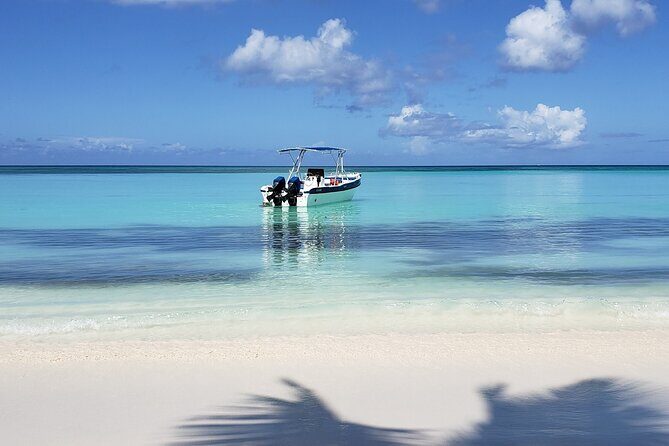 Small Group: Saona Island Full Day Tour - Good To Know  