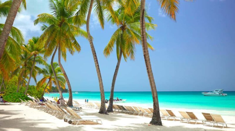 Small Group: Saona Island Full Day Tour Catamaran Open Bar - The Sum Up