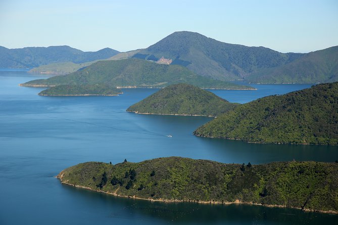 Small-Group Scenic Flight Over Marlborough Sounds From Picton - Overview