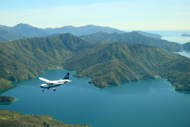 Small-Group Scenic Flight Over Marlborough Sounds From Picton - Opportunity to See Outer Sounds