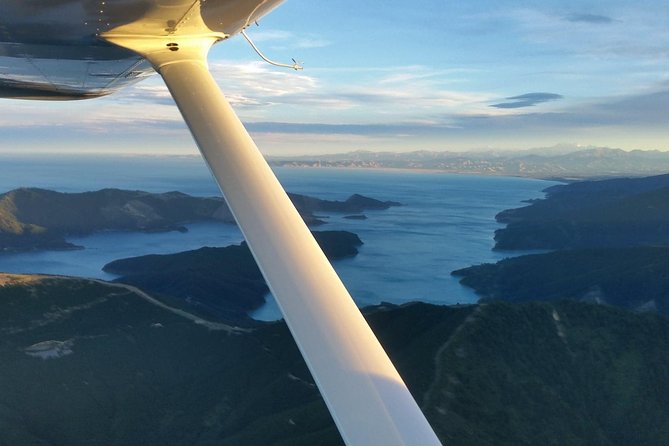 Small-Group Scenic Flight Over Marlborough Sounds From Picton - Traveler Photos and Reviews