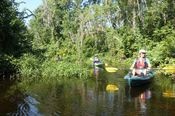 Small Group Scenic Wekiva River Kayak Tour near Orlando - Who Would Love This Experience?