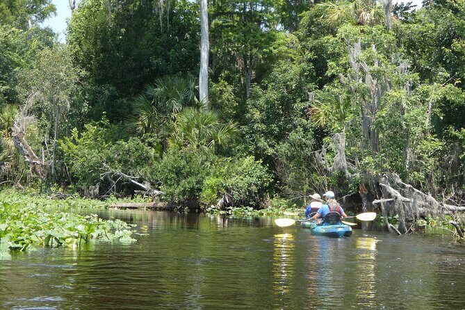 Small Group Scenic Wekiva River Kayak Tour near Orlando - The Sum Up: Is the Wekiva River Kayak Tour Worth It?