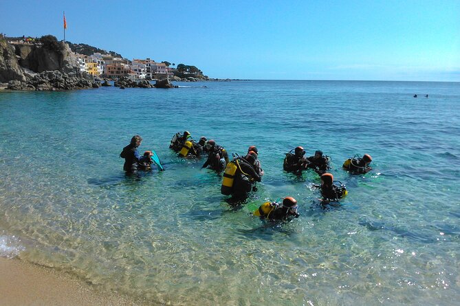 Small-Group Scuba Diving Adventure in Costa Brava - Scuba Diving Experience