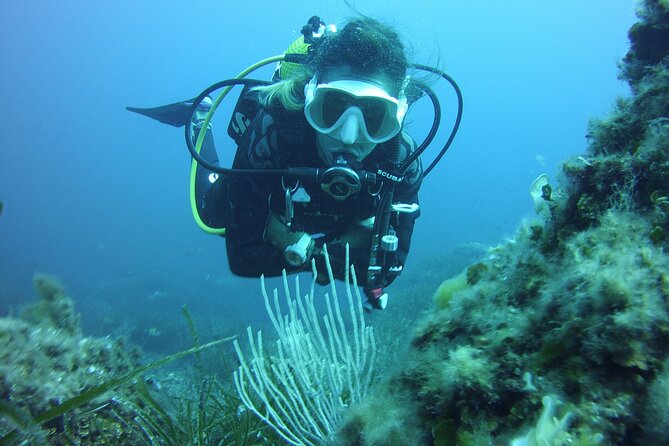 Small-Group Scuba Diving Eco Tour in the North of Menorca - Meeting and Pickup Details