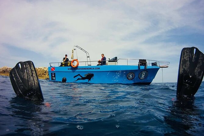 Small-Group Scuba Diving Eco Tour in the North of Menorca - Cancellation Policy and Important Reminders