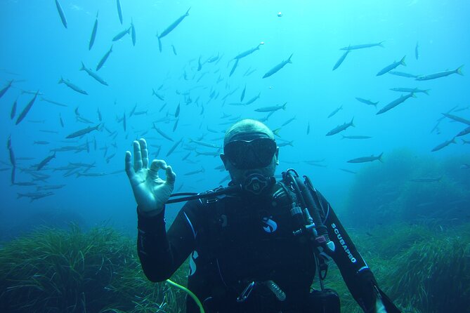 Small-Group Scuba Diving Eco Tour in the North of Menorca - Common Questions
