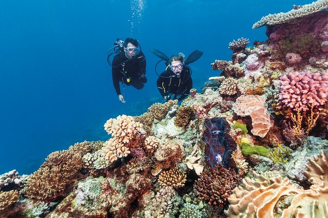Small Group Scuba Diving Experience in Maiton Private Island - Pricing and Booking Details