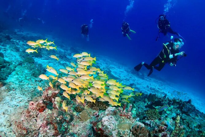 Small Group Scuba Diving Experience in Maiton Private Island - Additional Information