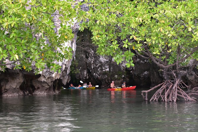 Small-Group Sea Kayaking in Ao Thalane Bay and Hong Island From Krabi - Tour Highlights